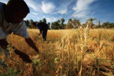 West Africa’s breakfast boom