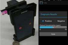 Detecting food allergens with a portable device