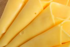 Global enzyme market sees moderate growth