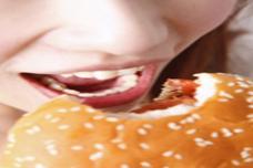 What molecular analysis found in 258 burger products