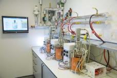 Differentiating products using unique enzymes