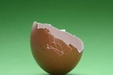 Stronger, more flexible bioplastic packaging for food?