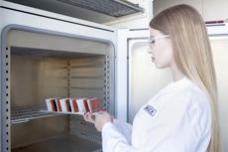 Addition-curing silicone rubber