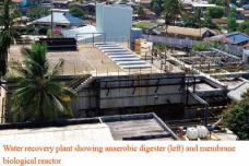 How to Brew Beer without Water