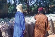 Nestlé sources onions in Niger