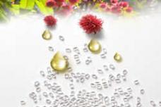 BASF high performance PA for monofilaments