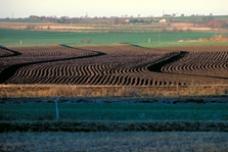 Abu Dhabi events to highlight 300 agriculture innovations