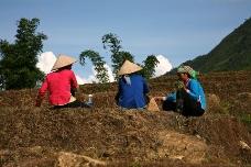 ISAP sustainable agricultural program launched in Hanoi