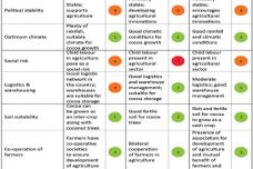 Cocoa bean market – sourcing strategy
