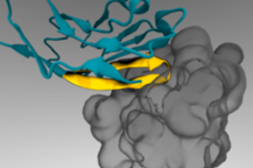 Nanoparticles carry tumour-fighting drugs