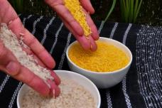 Bühler pushes for more sustainable rice processing