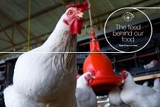 Sustainable feed fit for the future