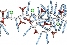 Faster, cheaper drug manufacturing with engineered catalysts