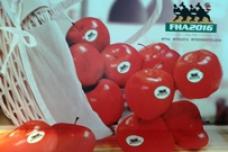 FHA2016 welcomes thousands to four-day event