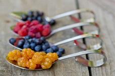 Nordic products showcased at HOFEX 2017