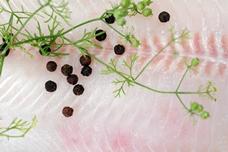 Vietnam catfish farms not spared from USDA inspection