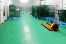 Flowcrete Asia floorings for meat and fish zones