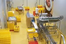 A Flowfresh floor addresses hygiene in salmon production facilities