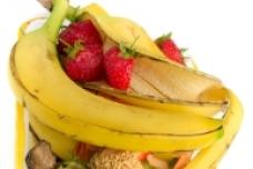 Mobile app helps consumers reduce food waste