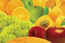 Freshy: A refreshing alternative