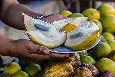 Nutrition industry on new rules for novel foods