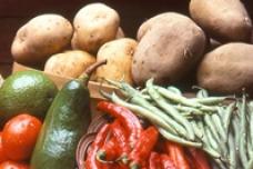 New China expo to showcase food/agri products
