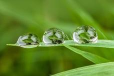 EFLA HyperPure Line meets EU PAH regulation