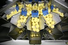 Packing line for vegetables