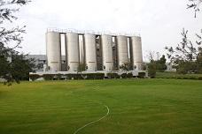 Asia’s largest milk facility to rise in India