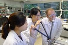 Givaudan flavour innovation centre expanded