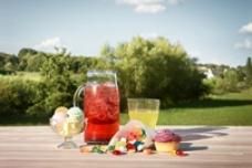 GNT to present range of natural colors at Gulfood Manufacturing
