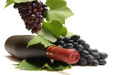 Viniculture and climate change