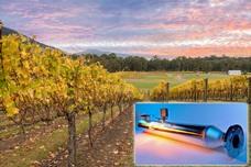 Zero bacterial count in the water