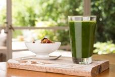 Mankai is GRAS for functional foods and beverages