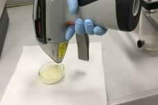 IAEA project to help prevent food fraud