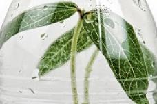 Bio-based PET shows the way forward