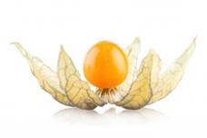 Incaberrix Superberry made for beverage market