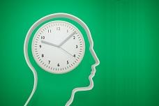 New study unlocks secret of internal body clock