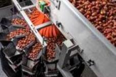 Ishida highlights versatility at Gulfood Manufacturing