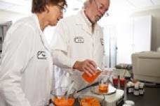 The natural color landscape