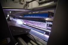 VERYX® sorts fresh and frozen berries