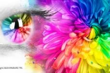 TPEs add color to applications