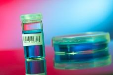 New Listeria test needs no enrichment