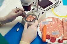 Food processing standards are tested amid COVID-19 outbreak