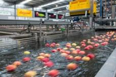 Apple exporter finds new markets in Southeast Asia