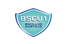 Lesaffre to introduce immune health products at Vitafoods 2016