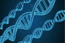 DuPont and MRM Health to develop microbiome products