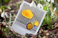 Borealis to acquire German plastics recycler