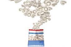 Scelta Mushrooms showcases innovation at FHA 2016