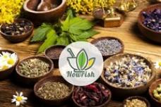 Fasting supplement introduced